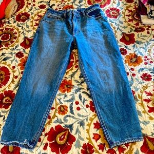 Abercrombie Curve Love The Mom High Rise 28/6Short